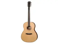 Larrivée Guitars L-09