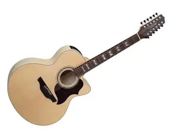 Takamine EG523SC-12