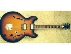 Welson DS-2T main image