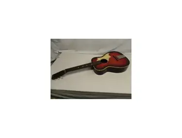 Silvertone 310 6029