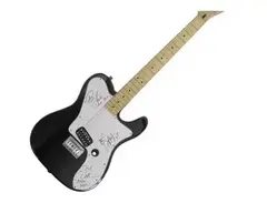 Custom-Built Fender Telecaster Billie Joe Armstrong