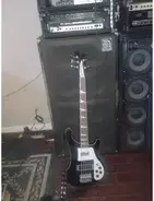 chickenbacker 5 string main image