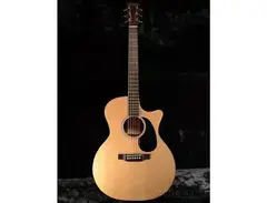 Martin GPCRSGT main image