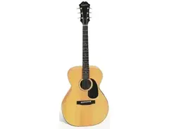 Epiphone FT-130