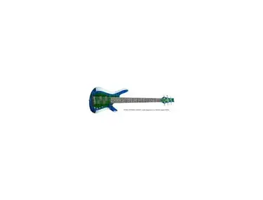 Kiesel 6 string Vanquish Bass