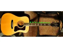 Alvarez 1976 Bicentennial Acoustic Guitar main image