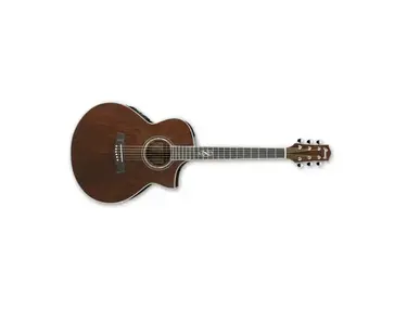 Ibanez EW20WNE-NT 6-String Exotic Wood Acoustic Guitar