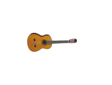 Takamine G116