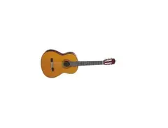 Takamine G116 main image