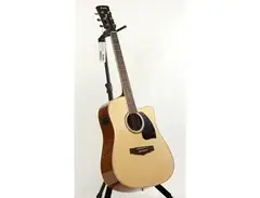 Ibanez PF15ECE main image