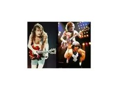 JayDee Custom Guitars Donnington main image