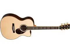 Martin OMCPA1 main image