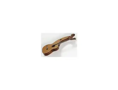 Dyer Harp Guitar