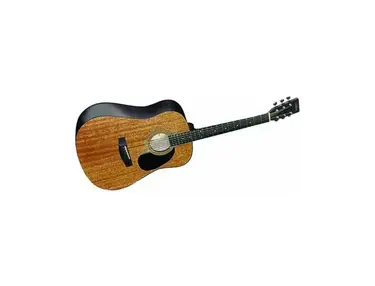 Abilene Dreadnought Acoustic Guitar