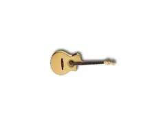 Fender Casa Grande 1999 main image