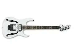 Ibanez PGM30 main image
