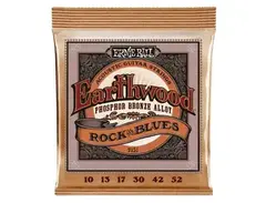 Ernie Ball 2151 Earthwood Rock & Blues Phosphor Bronze Acoustic Guitar Strings (10-52)