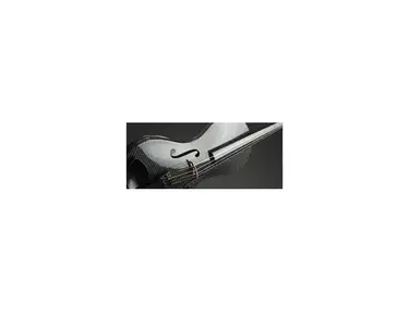 Luis and Clark carbon fiber cello