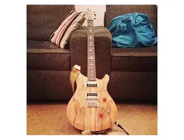 PRS SE Custom