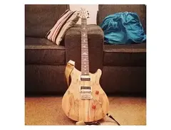 PRS SE Custom
