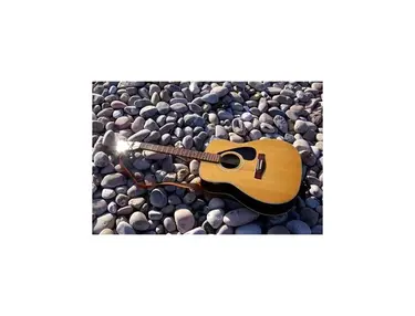 Yamaha SG 150