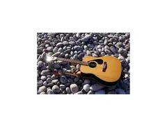 Yamaha SG 150 main image