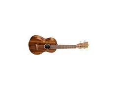 Martin C1K