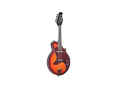 Kentucky Mandolins KM-300E