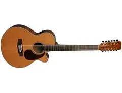hudson 12 string guitar main image