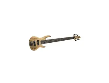 LTD B-206SM Spalted Maple 6 String Bass