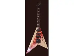Washburn RR-V