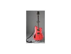 Mada Caimes Hemp Guitar main image