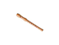 Hohner C-Descant Recorder