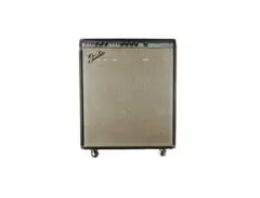 Fender Bassman Ten
