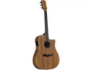 Fender CD-220CE Zebrano