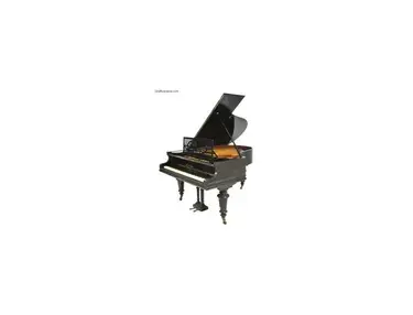 Bechstein Piano