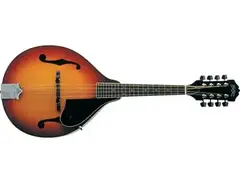 Washburn M1S Mandolin