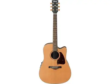 Ibanez AW 15