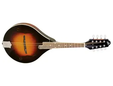 The Loar LM-220