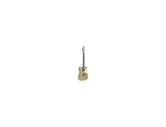 Stagg SET-CST Telecaster main image
