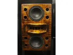 Augspurger Duo 8 Mini Main Studio Monitor