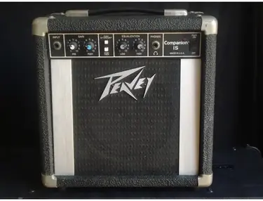 Peavey Companion 15