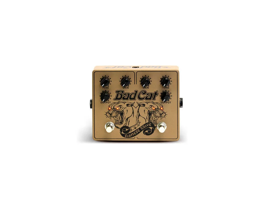 Bad Cat Siamese Drive - What To Know & Where To Buy | Equipboard Bad Cat Siamese Drive - What To Know & Where To Buy | Equipboard