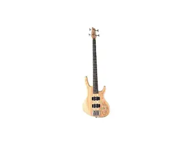 Washburn RB4000