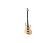 Washburn RB4000 main image