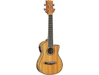 Mitchell MU100CE
