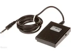 Moog FS-1 Footswitch main image
