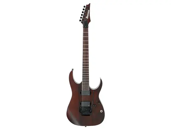 Ibanez Iron Label RG Series RGIR20BE with Tremolo
