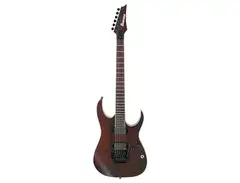 Ibanez Iron Label RG Series RGIR20BE with Tremolo