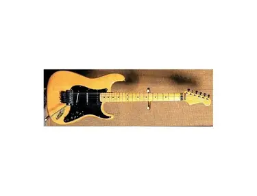 Performance Frank Zappa Custom-Made Stratocaster